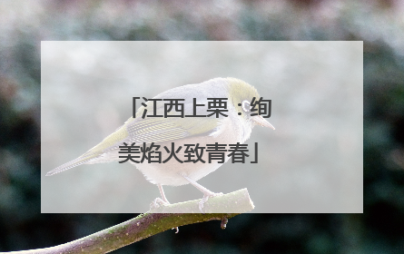 江西上栗：绚美焰火致青春