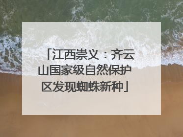 江西崇义：齐云山国家级自然保护区发现蜘蛛新种