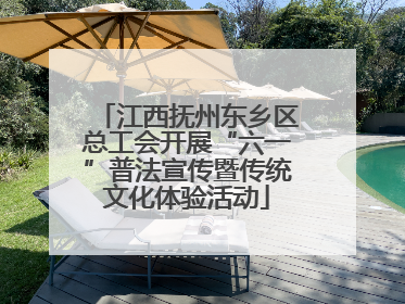 江西抚州东乡区总工会开展“六一”普法宣传暨传统文化体验活动