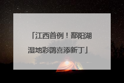 江西首例！鄱阳湖湿地彩鹮喜添新丁