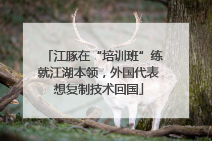 江豚在“培训班”练就江湖本领，外国代表想复制技术回国