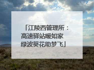 江陵西管理所：高速驿站暖如家 绿波葵花助梦飞