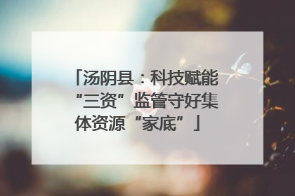 汤阴县：科技赋能“三资”监管守好集体资源“家底”
