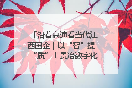 沿着高速看当代江西国企｜以“智”提“质”！贵冶数字化转型迈出新步伐