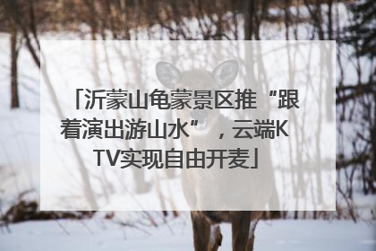 沂蒙山龟蒙景区推“跟着演出游山水”，云端KTV实现自由开麦