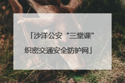 沙洋公安“三堂课”织密交通安全防护网