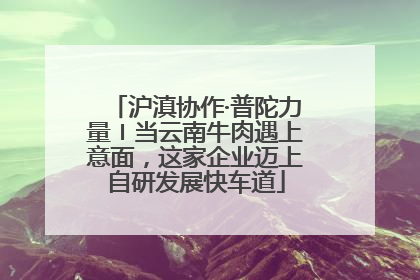 沪滇协作·普陀力量〡当云南牛肉遇上意面，这家企业迈上自研发展快车道