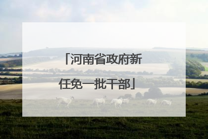 河南省政府新任免一批干部