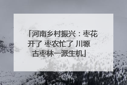 河南乡村振兴：枣花开了 枣农忙了 川塬古枣林一派生机