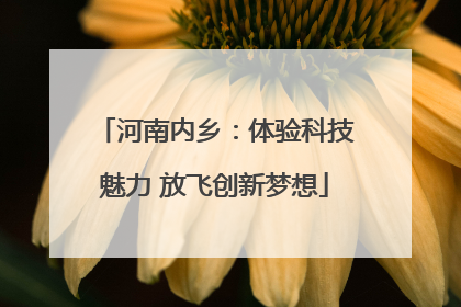 河南内乡：体验科技魅力 放飞创新梦想