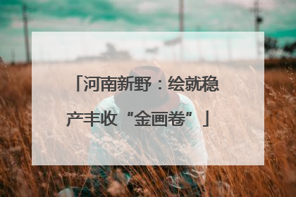 河南新野：绘就稳产丰收“金画卷”
