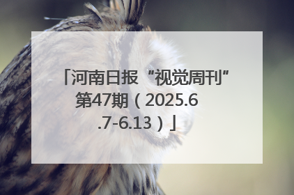 河南日报“视觉周刊”第47期（2025.6.7-6.13）