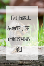 河南遇上东南亚，不止榴莲和奶茶