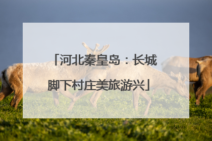 河北秦皇岛：长城脚下村庄美旅游兴