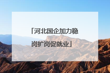 河北国企加力稳岗扩岗促就业
