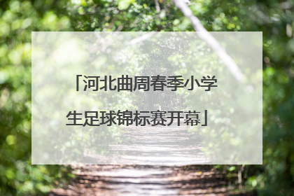 河北曲周春季小学生足球锦标赛开幕