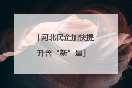 河北民企加快提升含“新”量