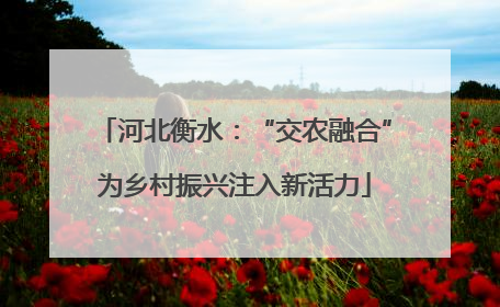 河北衡水：“交农融合”为乡村振兴注入新活力