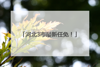 河北3市最新任免！