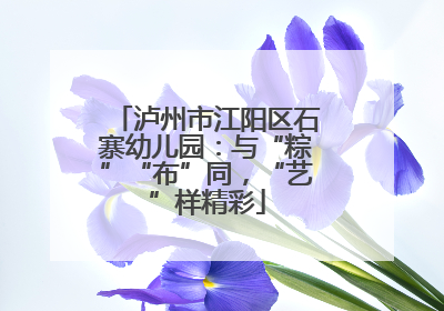 泸州市江阳区石寨幼儿园：与“粽”“布”同，“艺”样精彩