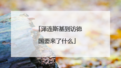 泽连斯基到访德国要来了什么