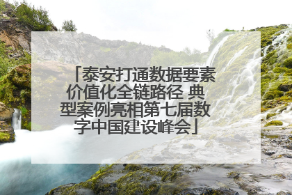 泰安打通数据要素价值化全链路径 典型案例亮相第七届数字中国建设峰会