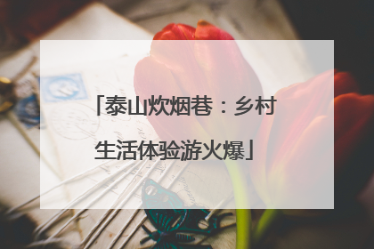泰山炊烟巷：乡村生活体验游火爆