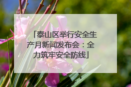 泰山区举行安全生产月新闻发布会：全力筑牢安全防线