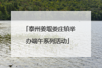 泰州姜堰娄庄镇举办端午系列活动