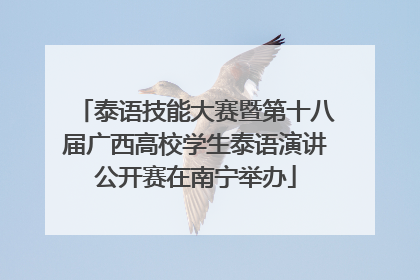 泰语技能大赛暨第十八届广西高校学生泰语演讲公开赛在南宁举办