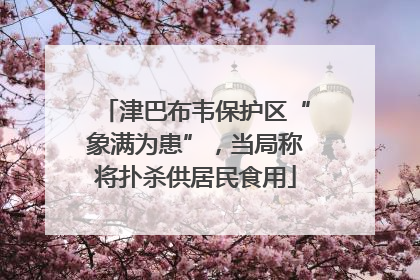 津巴布韦保护区“象满为患”，当局称将扑杀供居民食用