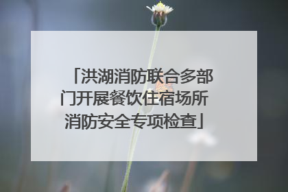 洪湖消防联合多部门开展餐饮住宿场所消防安全专项检查