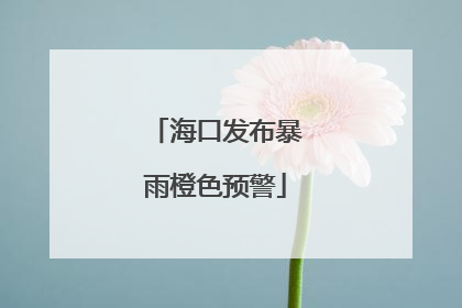 海口发布暴雨橙色预警