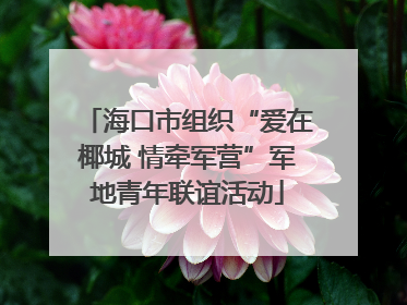 海口市组织“爱在椰城 情牵军营”军地青年联谊活动