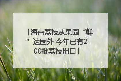 海南荔枝从果园“鲜”达国外 今年已有200批荔枝出口