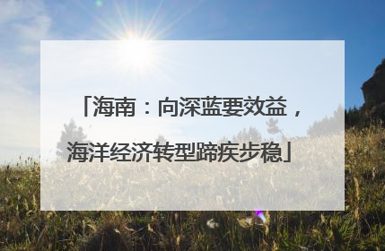 海南：向深蓝要效益，海洋经济转型蹄疾步稳