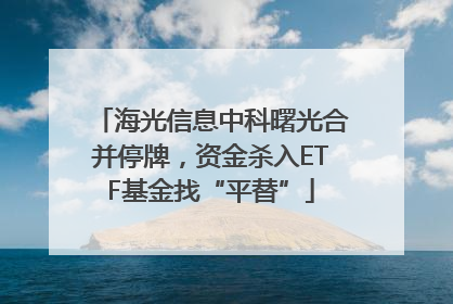 海光信息中科曙光合并停牌，资金杀入ETF基金找“平替”