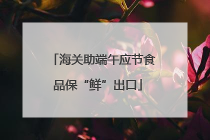 海关助端午应节食品保“鲜”出口