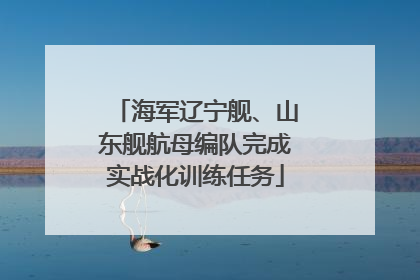 海军辽宁舰、山东舰航母编队完成实战化训练任务