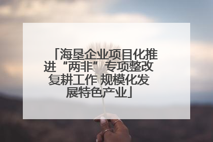 海垦企业项目化推进“两非”专项整改复耕工作 规模化发展特色产业