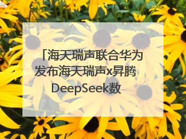 海天瑞声联合华为发布海天瑞声x昇腾DeepSeek数据飞轮智能体