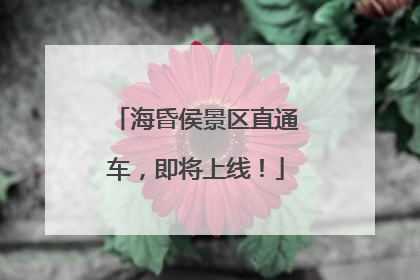 海昏侯景区直通车，即将上线！