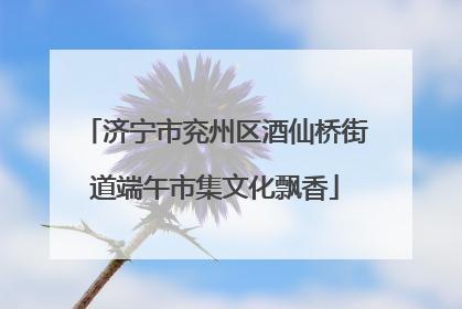 济宁市兖州区酒仙桥街道端午市集文化飘香