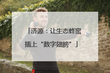 济源：让生态蜂蜜插上“数字翅膀”