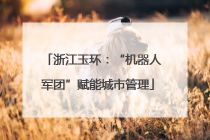 浙江玉环：“机器人军团”赋能城市管理