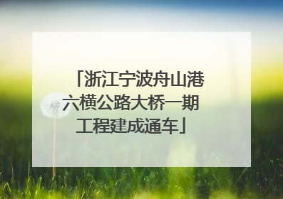 浙江宁波舟山港六横公路大桥一期工程建成通车