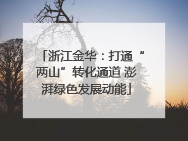 浙江金华：打通“两山”转化通道 澎湃绿色发展动能