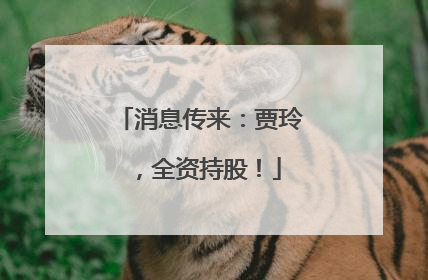 消息传来：贾玲，全资持股！