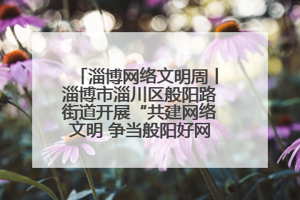 淄博网络文明周丨淄博市淄川区般阳路街道开展“共建网络文明 争当般阳好网民”主题宣讲活动