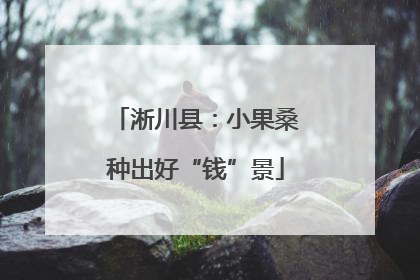 淅川县：小果桑种出好“钱”景